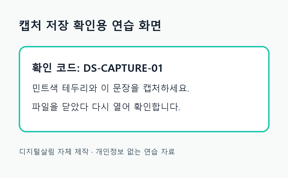캡처 파일 저장 확인을 위한 DS-CAPTURE-01 연습 화면